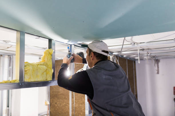 Attic Insulation Near Me in Wells, NV