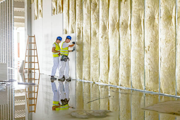 Best Local Insulation Services  in Wells, NV